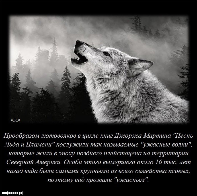 Интересно обо всём (25 фото)