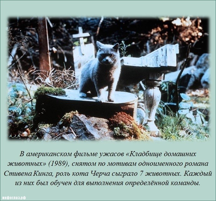 Интересно обо всём (25 фото)