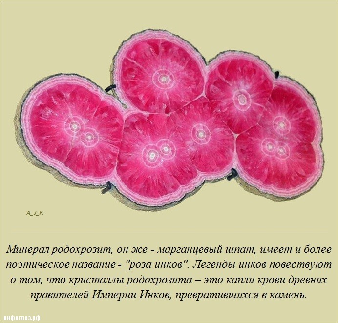 Интересно обо всём (25 фото)