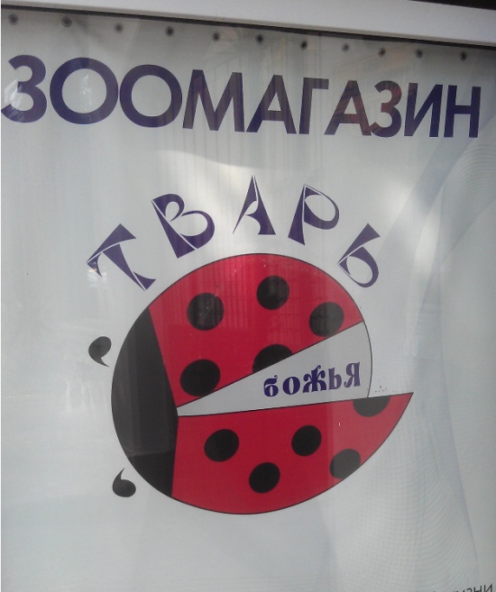 Забавные надписи и объявления (23 фото)