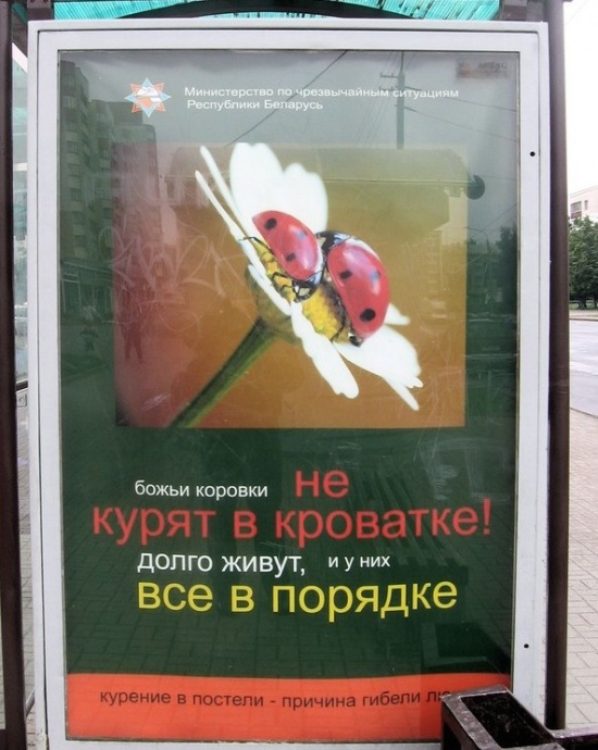 Забавные надписи и объявления (23 фото)