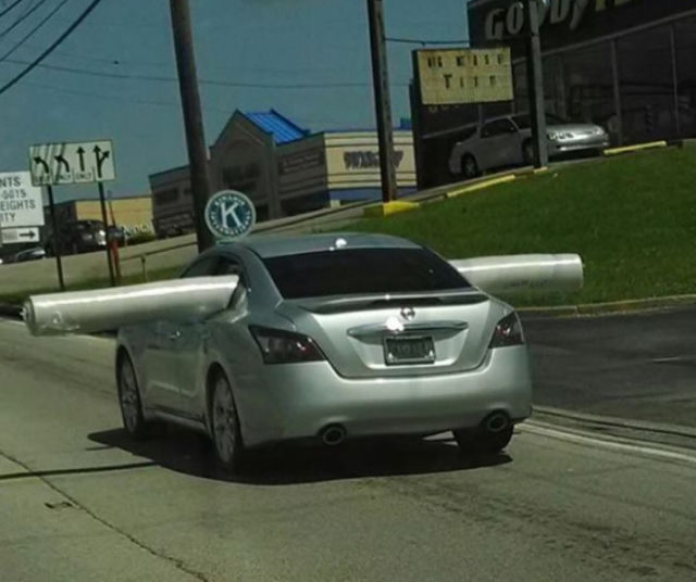 Прикольные картинки (53 фото)