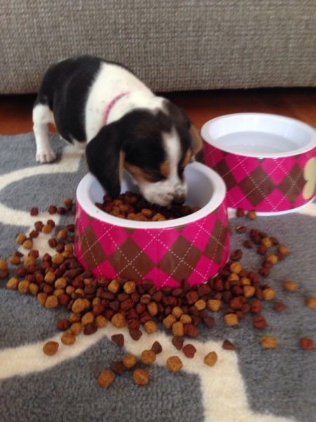 Прикольные картинки (53 фото)