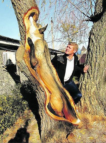 Прикольные картинки (53 фото)