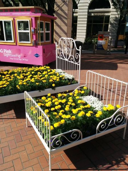 Прикольные картинки (53 фото)