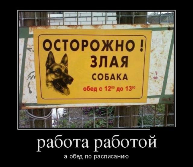 Демотиваторы (30 фото)