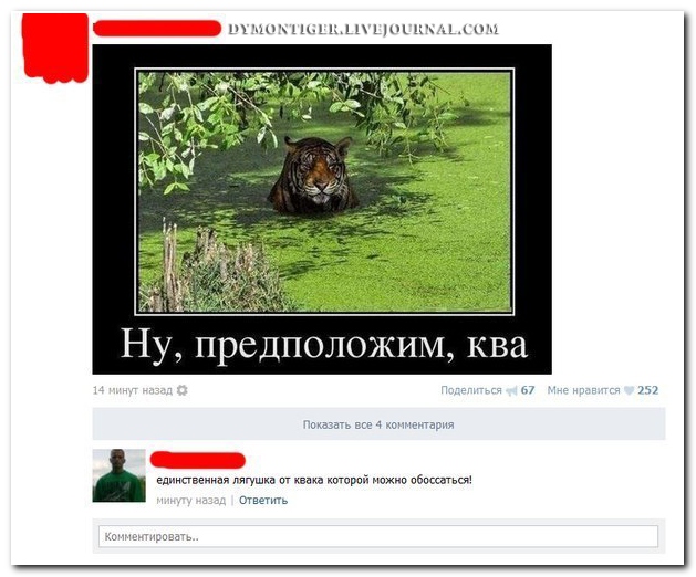 Смешные комментарии из социальных сетей (40 фото)