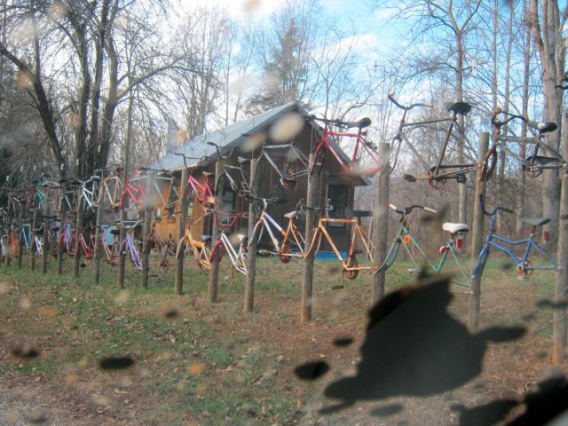  Прикольные картинки (79 фото)