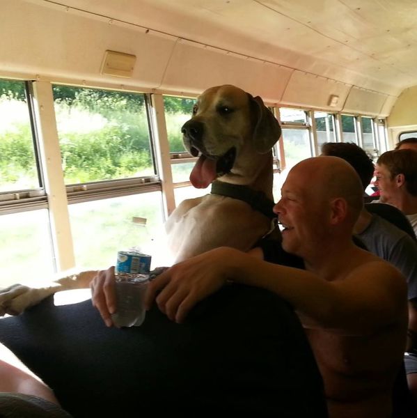  Прикольные картинки (79 фото)