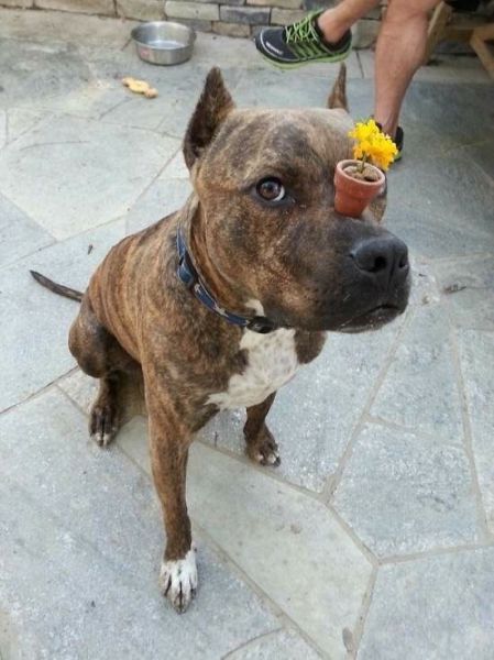  Прикольные картинки (79 фото)