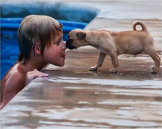  Прикольные картинки (79 фото)