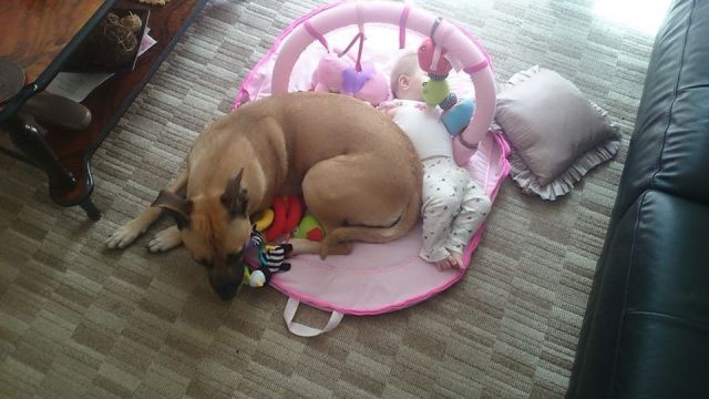  Прикольные картинки (79 фото)