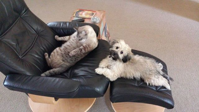  Прикольные картинки (79 фото)