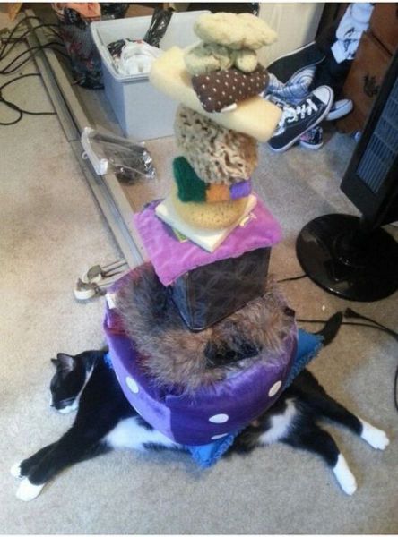  Прикольные картинки (79 фото)