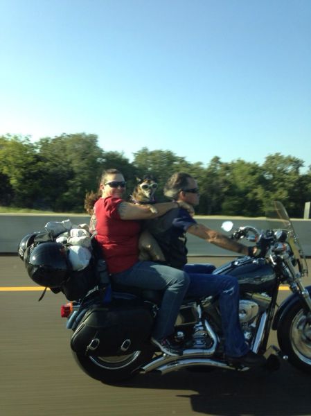  Прикольные картинки (79 фото)