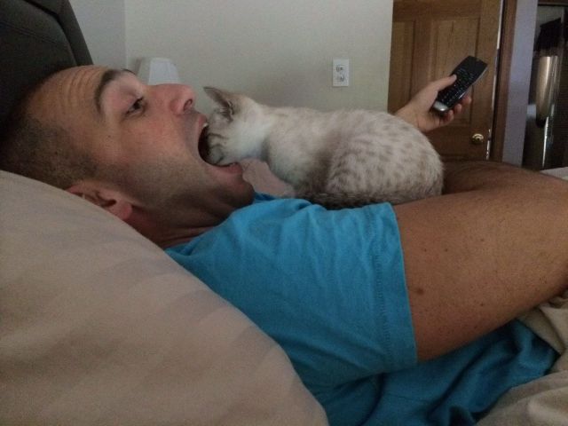  Прикольные картинки (79 фото)