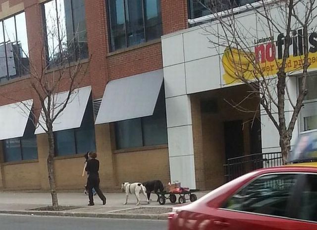  Прикольные картинки (79 фото)