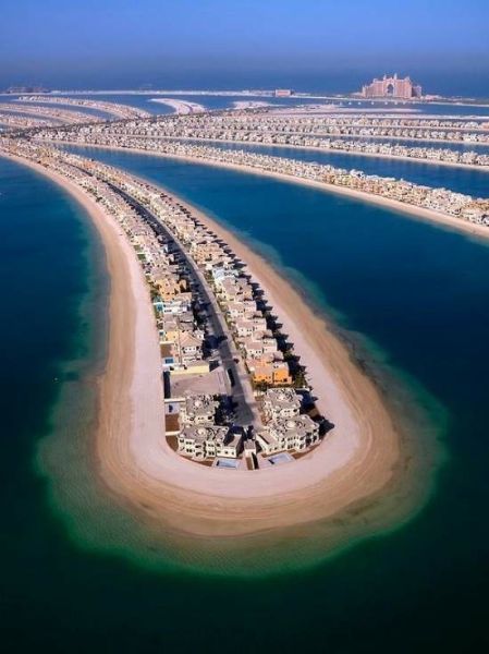  Прикольные картинки (79 фото)