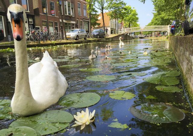  Прикольные картинки (79 фото)