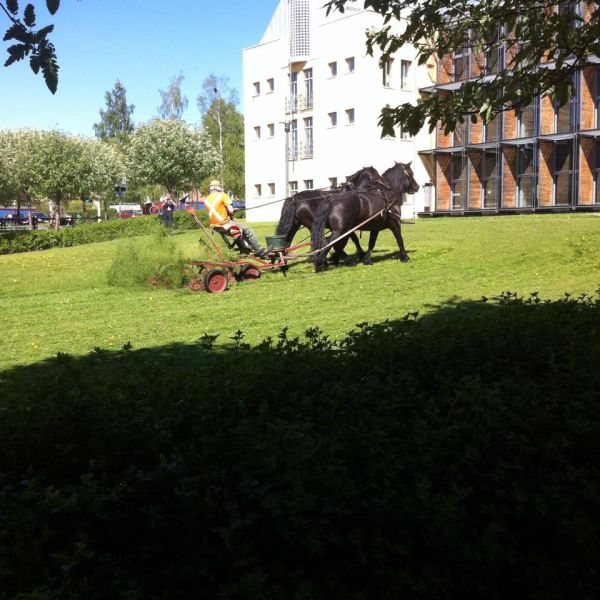  Прикольные картинки (79 фото)