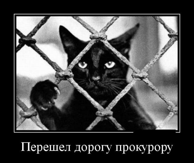 Демотиваторы (30 фото)