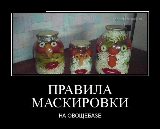 Демотиваторы (30 фото)