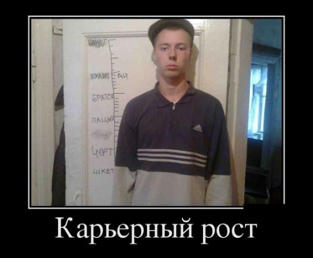 Демотиваторы (30 фото)