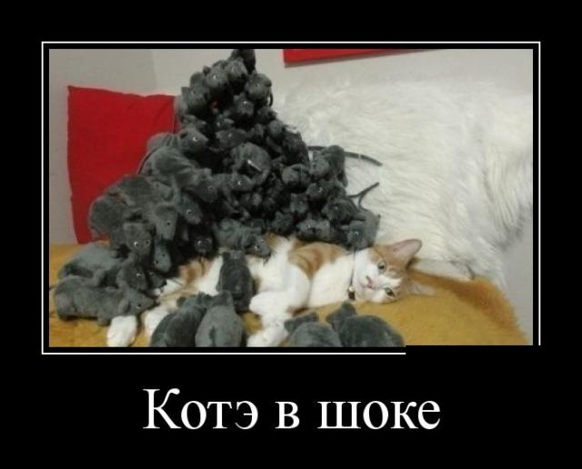 Демотиваторы (30 фото)