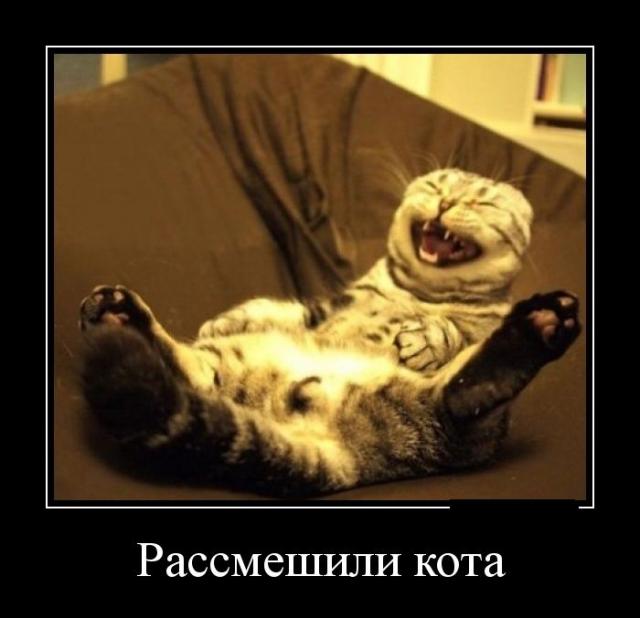 Демотиваторы (30 фото)