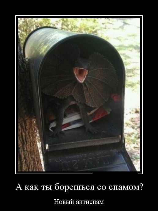 Демотиваторы (30 фото)