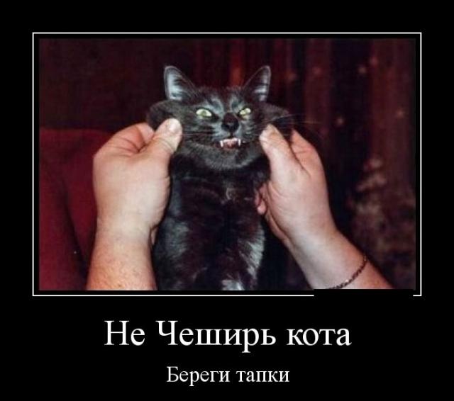 Демотиваторы (30 фото)