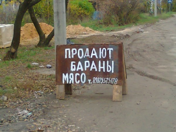 Забавные надписи и объявления (23 фото)