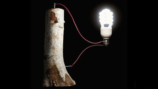 Интересно обо всём (10 фото)