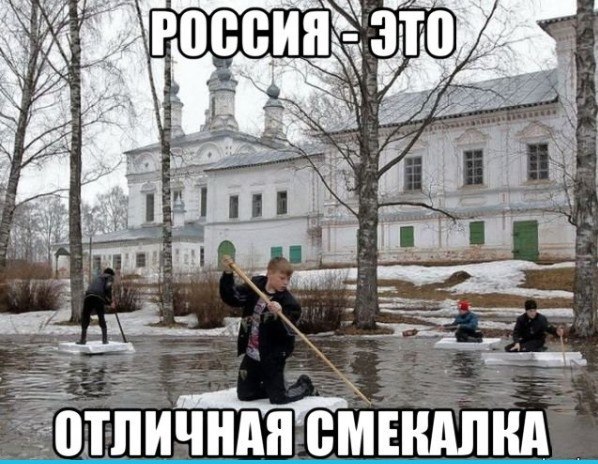 Прикольные картинки (50 фото)