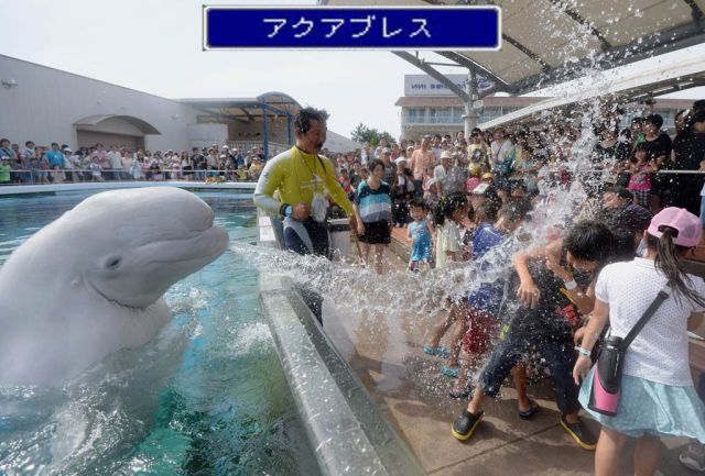 Прикольные картинки (50 фото)