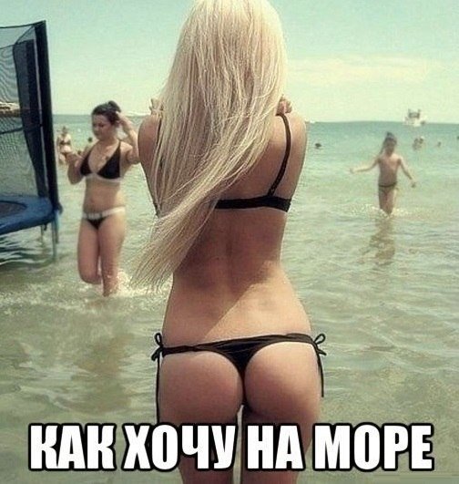 Прикольные картинки (50 фото)