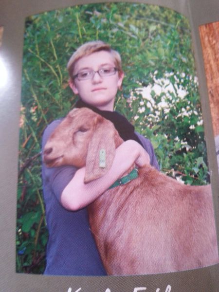 Прикольные картинки (50 фото)