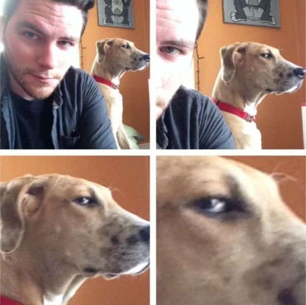 Прикольные картинки (50 фото)