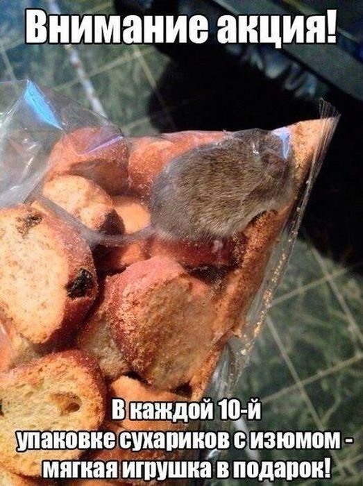 Прикольные картинки (50 фото)