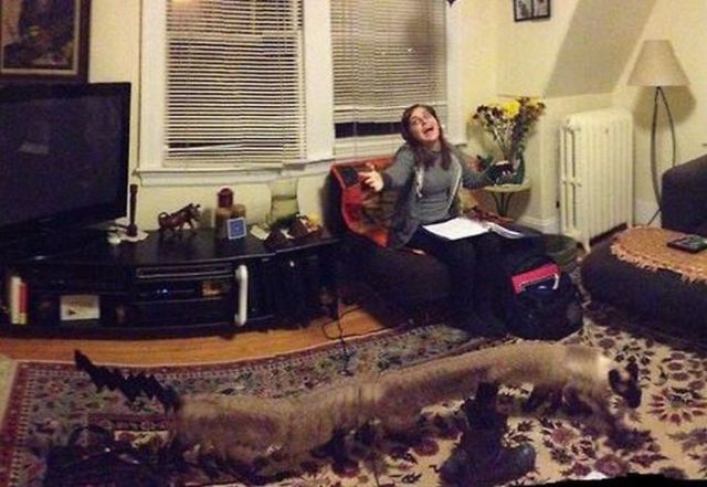 Неудачные панорамные фотографии (23 фото)