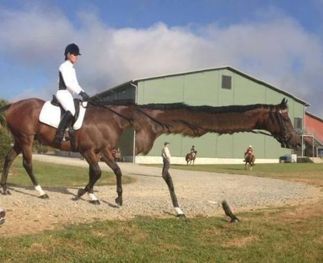 Неудачные панорамные фотографии (23 фото)