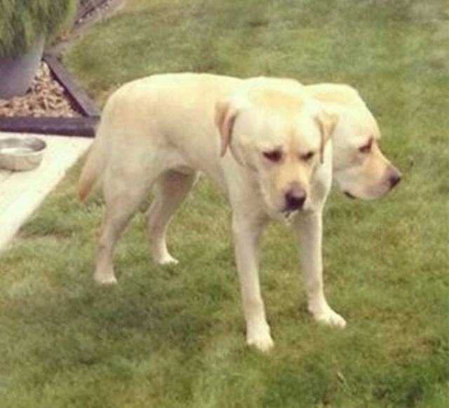 Неудачные панорамные фотографии (23 фото)