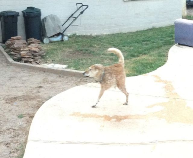 Неудачные панорамные фотографии (23 фото)