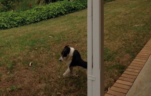 Неудачные панорамные фотографии (23 фото)