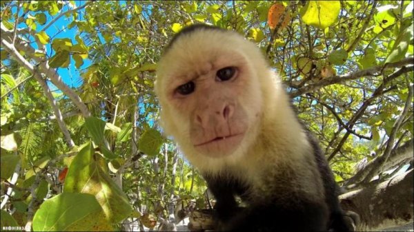 Немного юмора (60 фото)