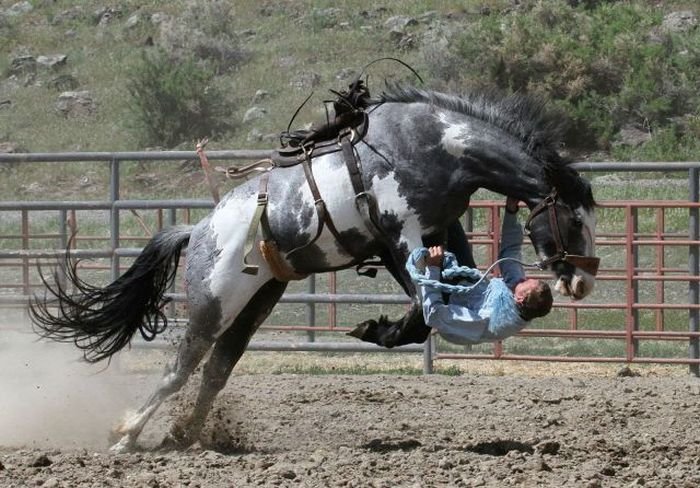 Немного юмора (60 фото)