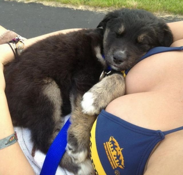 Немного юмора (60 фото)