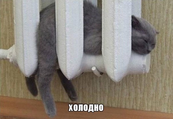 Немного юмора (60 фото)