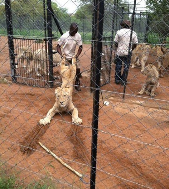 Немного юмора (60 фото)