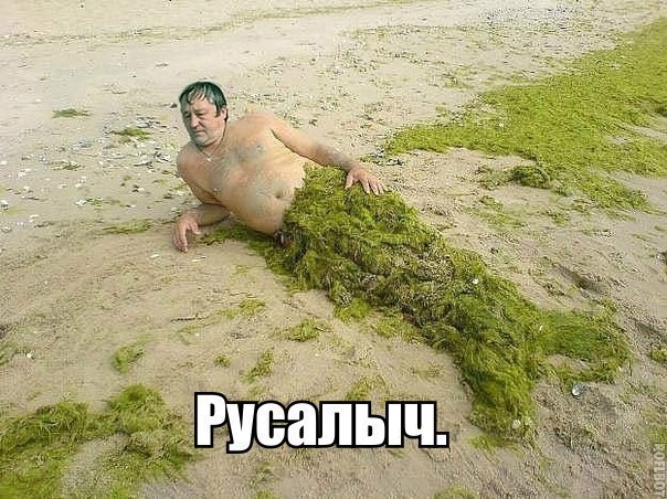 Немного юмора (60 фото)